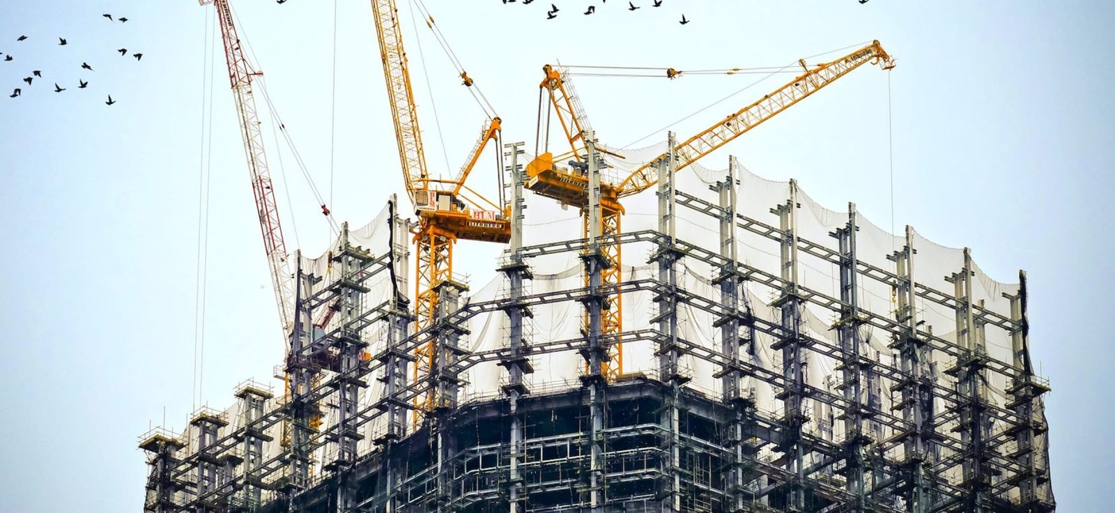 Des grues de chantier sur un immeuble en construction