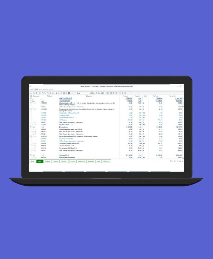 Ecran Sage Batigest Connect mockup